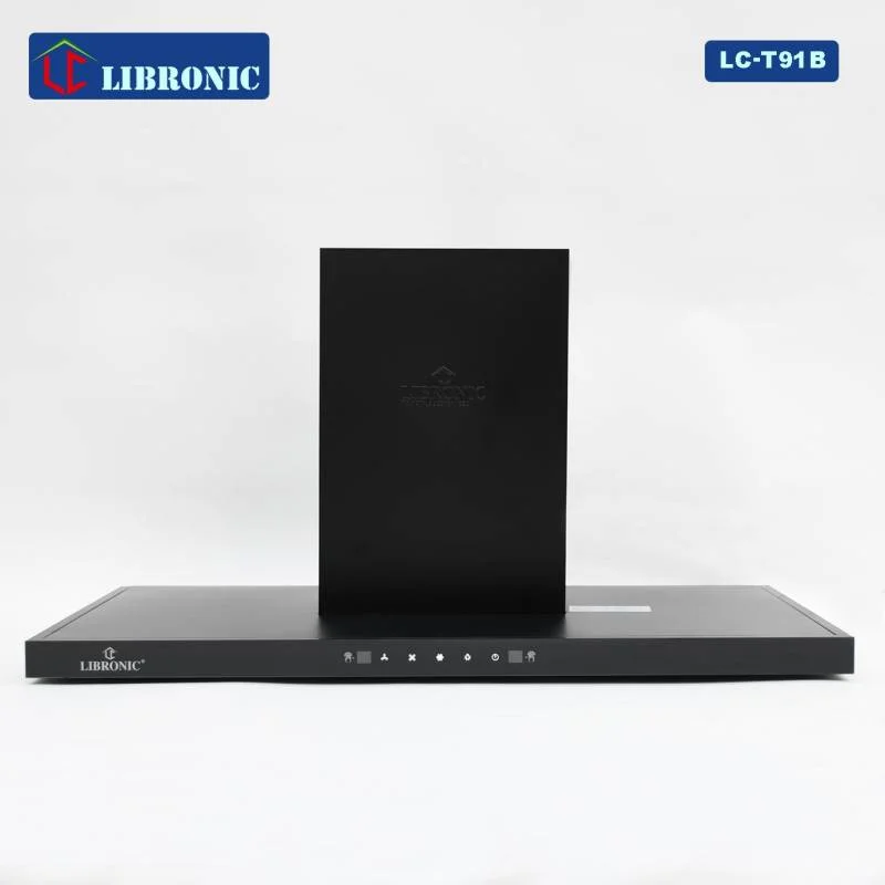 مرشحة 91B من ليبرونك